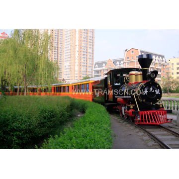 Train de voie électrique d&#39;amusement à vendre